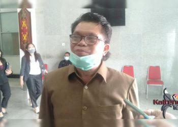 Pemanfaatan Kayu Di Kawasan Food Estate Singkong Harus Ada Izin