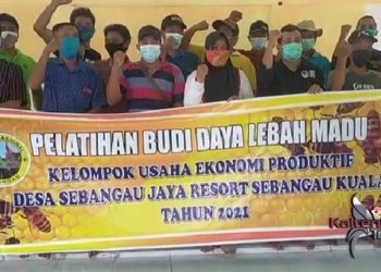 Tingkatkan Kualitas Budidaya Lebah Madu, Pemdes Sebangau Jaya Gelar Pelatihan