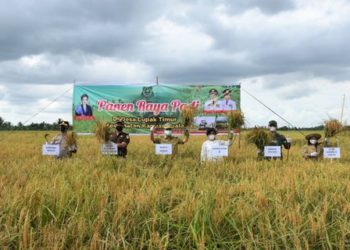 Bupati Kapuas Panen Raya di Desa Lupak Timur