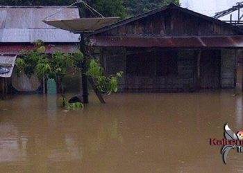 Sejumlah Desa di Kecamatan Antang Kalang Terendam Banjir