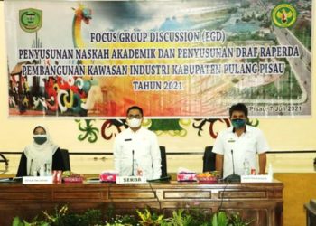 Disperindagkop Pulpis Gelar FGD Penyusunan Draf Raperda Kawasan Industri