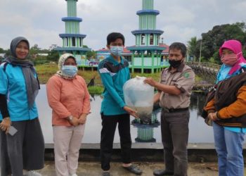 20 Ribu Benih Ikan Patin Disebarkan di Perairan Desa Pamait Barito Selatan