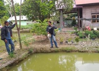 Tiga Anggota DPRD Gumas Salurkan Dana Aspirasi Benih dan Pakan Ikan