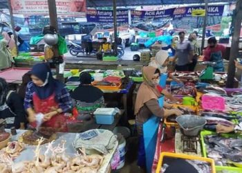 Harga Ayam di Sampit Kembali Normal