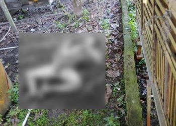 Astaga! Warga Desa Basirih Kotim Tewas Mengenaskan