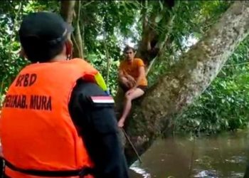 Nekat Lompat dari Jembatan Merdeka , Pria Ini Ditemukan Duduk Diatas Pohon