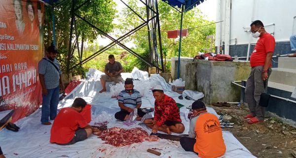 Idul Adha, DPD PDI Perjuangan Kalteng Potong 2 Ekor Sapi