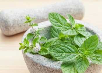 9 Manfaat tak Terduga dari Peppermint bagi Kesehatan Tubuh (Bagian 2) jdl