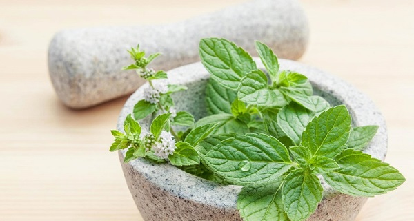 9 Manfaat tak Terduga dari Peppermint bagi Kesehatan Tubuh (Bagian 2) jdl