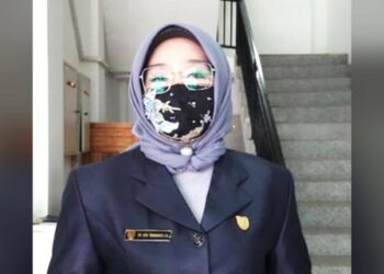 Dewan Apresiasi Pelaksanaan Vaksinasi Covid-19 Bagi Ibu Hamil