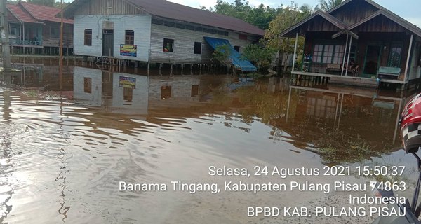 Tiga Desa Di Kabupaten Pulang Pisau Direndam Banjir