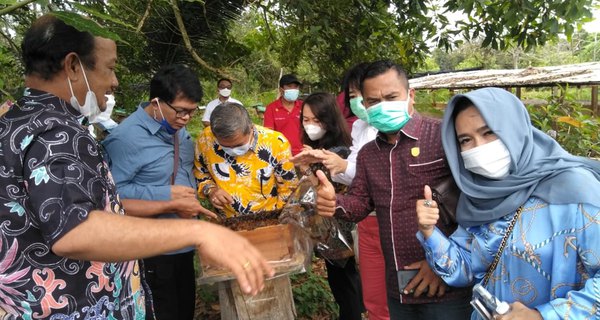 Dewan Yakinkan Masyarakat Budidaya Madu Kelulut Menjanjikan Dan Bernilai Ekonomis