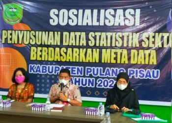 Diskominfo Pulpis Sosialisasi Data Sektoral Meta Data