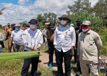 Ekstensifikasi Dapat Meningkatkan produktivitas Beras di Kapuas