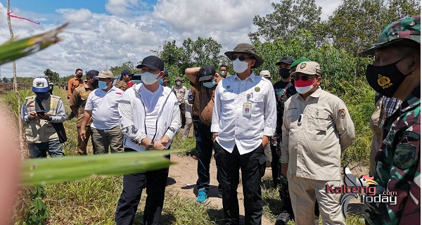 Ekstensifikasi Dapat Meningkatkan produktivitas Beras di Kapuas