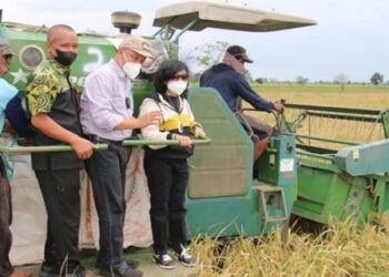 Masyarakat Diajak Maksimalkan Peluang Program Food Estate