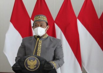Wagub Kalteng Apresiasi Capaian Pemkab Lamandau