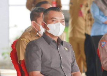 Warga Desa Baung Kesulitan Sumber Air Bersih, Ini Tanggapan Ketua DPRD Seruyan
