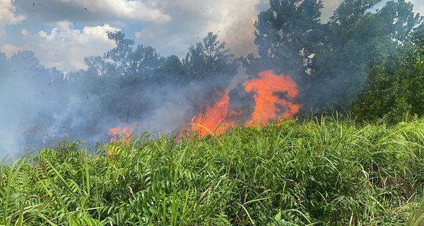 Astaga, Ditinggal Istirahat Minum, Lahan Hangus Terbakar