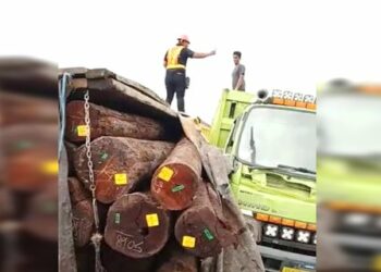 Geger Angkutan Kayu Log Terbalik di Jalan Bukit Rawi, Balai Gakkum Telusuri Dokumen