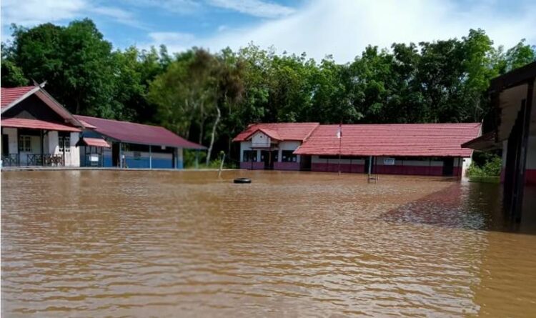 Banjir Hampir 1 Meter Rendam 5 RT Desa Tanjung Taruna di Kabupaten Pulang Pisau