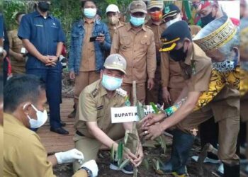 Bupati Kapuas Canangkan Penghijauan Pulau Telo Jadi Destinasi Wisata Alam Buah Buahan