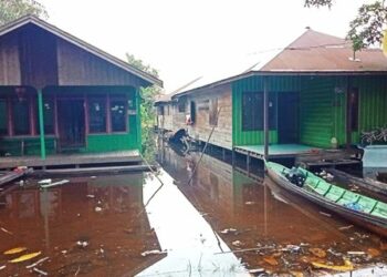 Curah Hujan Tinggi Beberapa Rumah Di Kecamatan Danau Sembuluh Terendam Banjir
