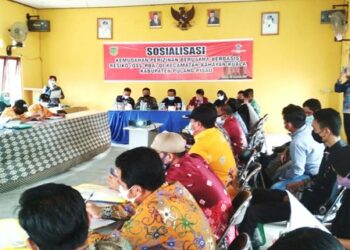 DPMTPSP Pulpis Sosialisasi OSS-RBA di Kahayan Kuala