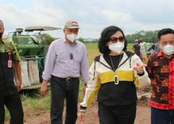 Dukung Pembangunan Kawasan Food Estate