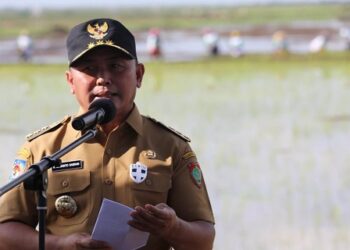 Gubernur Kalteng Dampingi Sejumlah Menteri Tinjau Kawasan Food Estate di Dadahup, Kapuas