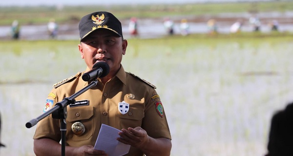 Gubernur Kalteng Dampingi Sejumlah Menteri Tinjau Kawasan Food Estate di Dadahup, Kapuas