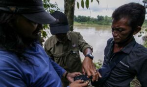 Hutan Desa Bukit Bamba Berpotensi Sebagai Hutan Penelitian 1