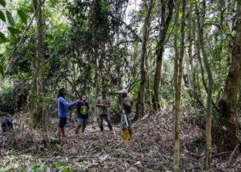 Hutan Desa Bukit Bamba Berpotensi Sebagai Hutan Penelitian