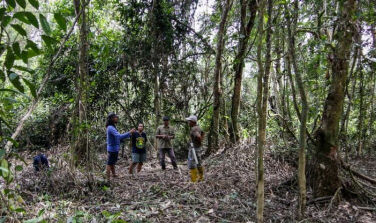 Hutan Desa Bukit Bamba Berpotensi Sebagai Hutan Penelitian