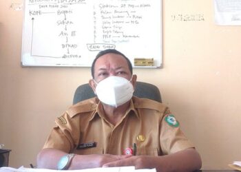 Dispora Akan Laksanakan Haornas Dengan Senam