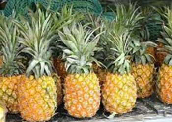 Manfaat-manfaat Hebat Si ‘Buah Granat’