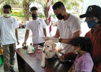 Peringati Hari Rabies Sedunia, Kapuas Vaksinasi Gratis Hewan Peliharaan