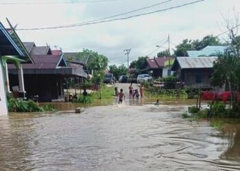 Dewan Minta IPK dari PBS di Gunung Mas Harus Ditinjau Ulang