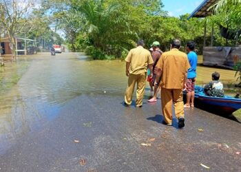 Tujuh Kecamatan di Gumas Terendam Banjir 1