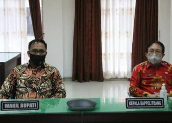 Wabup Katingan Ikuti Musrenbang Kalteng 2021