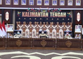 Wagub Kalteng Edy Pratowo saat menerima bantuan tersebut secara virtual