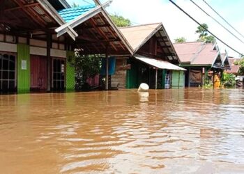 Banjir di Barito Selatan Rendam 4 Kecamatan dan 1.134 Rumah Warga