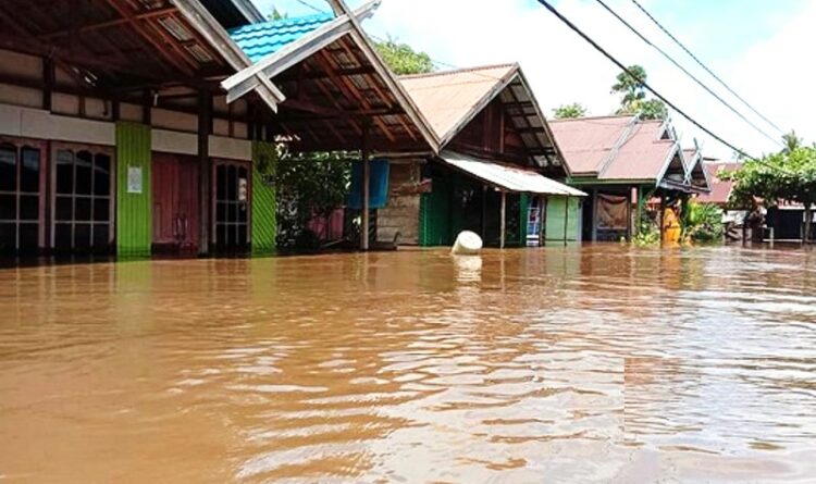 Banjir di Barito Selatan Rendam 4 Kecamatan dan 1.134 Rumah Warga