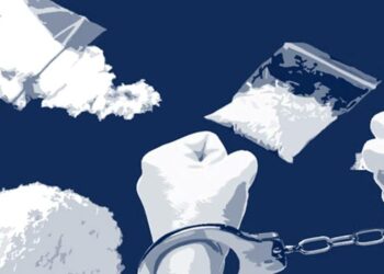 Diduga Bawa 3,38 Gram Sabu,Polisi Ringkus Seorang IRT