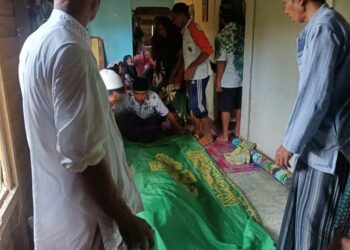 Ambil Buah Kelapa, Warga Pulau Hanaut Kotim Meninggal