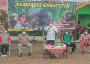 Tanamkan Kecintaan Terhadap Hutan dan Orangutan, OFI Gelar Kampanye di Sekolah
