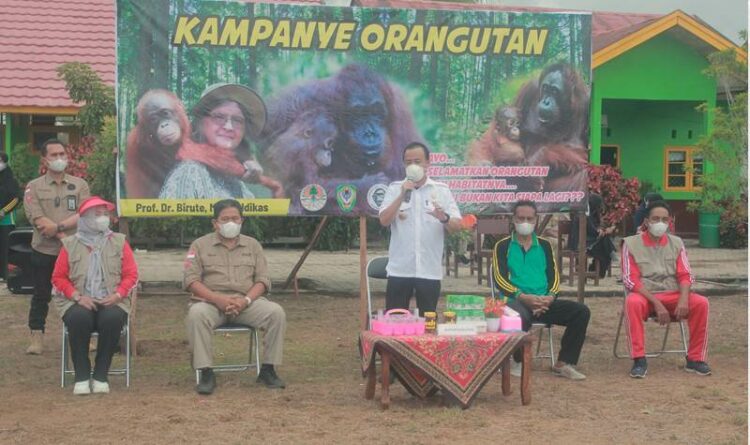 Tanamkan Kecintaan Terhadap Hutan dan Orangutan, OFI Gelar Kampanye di Sekolah