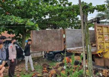 Curi Buah Sawit Perusahaan Malam Hari, 2 Warga Kotim Dibekuk Polisi