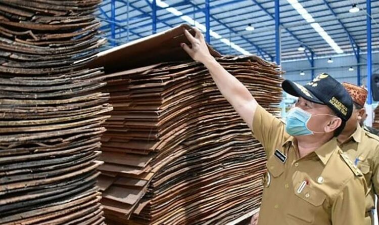 Gubernur Kalteng Industri Lokal Harus Berperan Aktif Kelola SDA