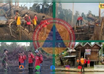 Puluhan Titik Panas Mulai Ditemukan di Kalteng